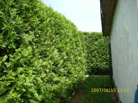 kamera 2 003.webp