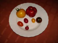 HPIM0894.webp