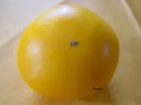 Mandarin.webp