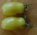 Banana_Legs.webp