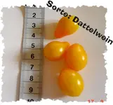 2007-Dattelwein-bearb.webp