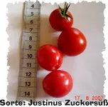 2007-JustinusZuckersuess-bearb.webp