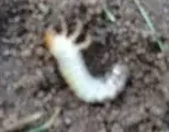 Bild2.webp