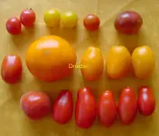 2007_08_18_Ernte.webp