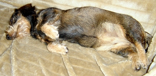 hhDSC02364.webp
