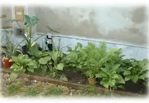 Dscf0002.webp