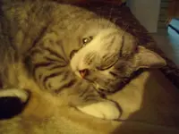 PIC_0111.webp
