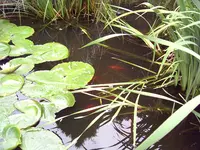 PIC_0114.webp