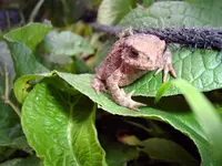 PIC_0147.webp