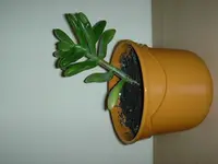 DSCN4352.webp