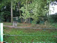 1211784875_4513dc2d41.webp