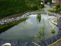 unser neuer Teich 006.webp