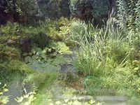 PIC_0116.webp