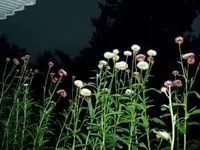M5110082 (1).webp