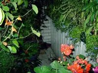 M5110086.webp