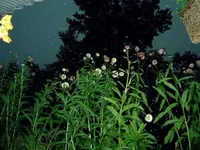 M5110099.webp