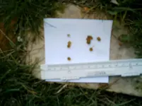 IMAG0018.webp