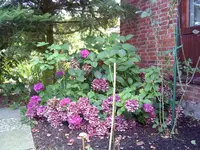 PIC_0127.webp