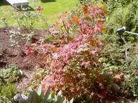 Foto-0012.webp