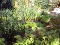 PIC_0128.webp