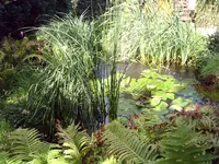 PIC_0129.webp