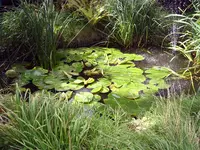 PIC_0130.webp