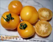 ©Goldene Königin reife Früchte.webp