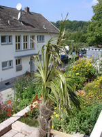 Pälmsche 26.08.07.webp
