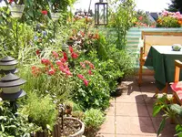 DSCN0331.webp