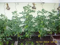 Garten 002.webp