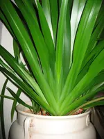 IMG_1194_2.webp