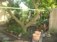 Bild 374.webp