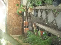 Bild 372.webp