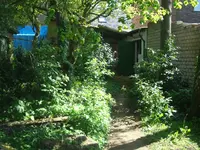 Bild 123.webp