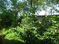 Bild 120.webp