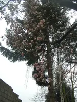 Bild 042.webp