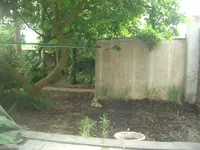 Bild 152.webp