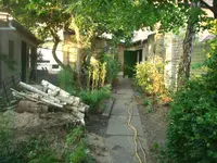 Bild 381.webp