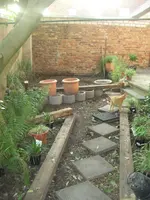 Bild 372.webp