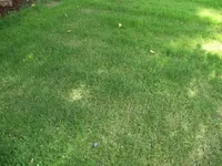 CIMG1476.webp