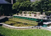 CCF260720081.webp