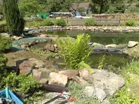 Teich08 - 15.webp