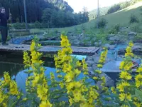 Teich08 - 20.webp
