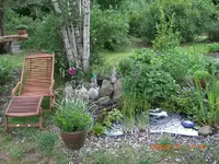 teich.webp