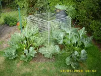 Test 604.webp