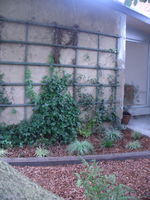 CIMG2302.webp