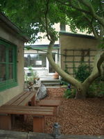 CIMG2303.webp