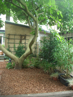 CIMG2304.webp