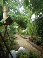 CIMG2306.webp