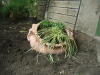 CIMG2307.webp